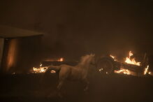 Imagem 35607676.jpg (6272849) (Milenium)