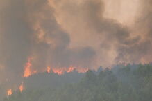 Incêndio combatido por 13 meios aéreos ameaça aldeia e parque natural na Covilhã