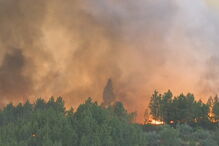 Incêndio combatido por 13 meios aéreos ameaça aldeia e parque natural na Covilhã	