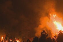 Incêndio na Covilhã ameaça aldeia de Sobral de São Miguel	