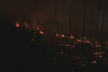 Cinco bombeiros feridos em incêndio em Chaves. Mais de 300 operacionais combatem chamas