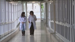 Medicina interna lidera vagas em nova contratação para SNS