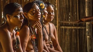 Indígenas lançam candidaturas para criar 'bancada da floresta' no Brasil