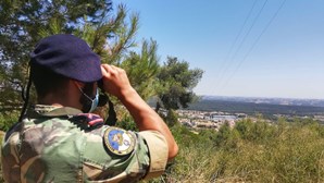 Associação de Oficiais das Forças Armadas repudia reforma do Governo rumo à "partidarização"