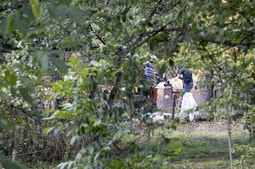  Polícia alemã faz escavações e usa cães-pisteiros a poucos quilómetros da casa do suspeito de rapto de Maddie McCann