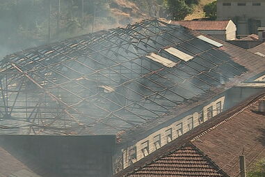 "O pássaro está livre": Elon Musk toma controlo do Twitter e despede diretores