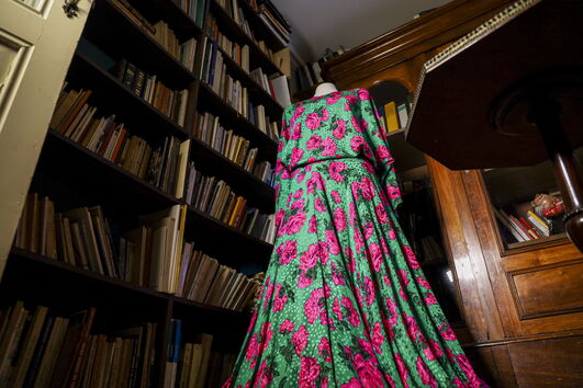 2020-07-18_11_19_54 vestido biblioteca.jpg