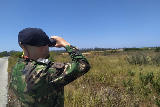 Militares do Exército e Marinha no terreno devido ao elevado risco de incêndios