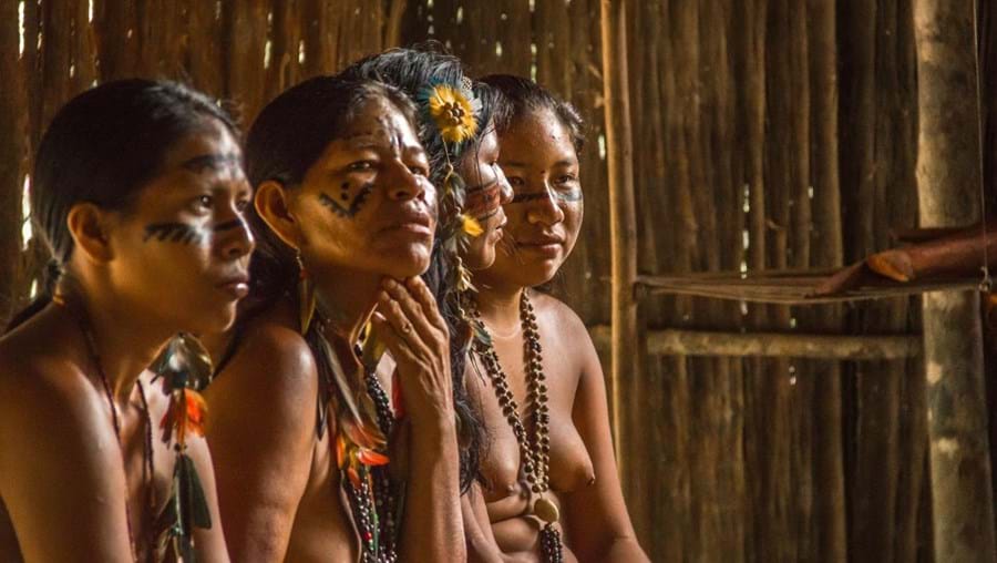 Indígenas do Brasil