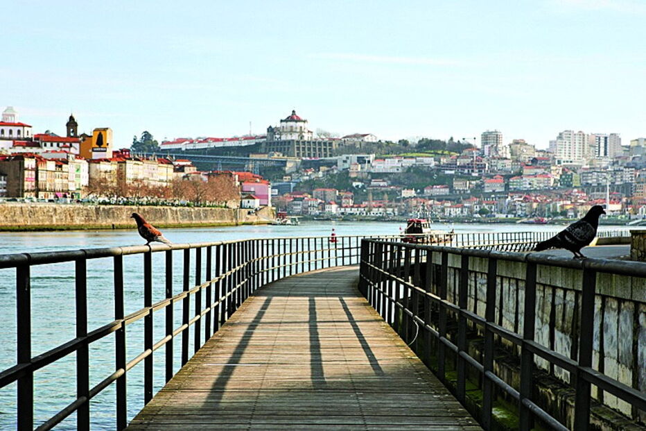 Passadiço Marítimo de Gaia