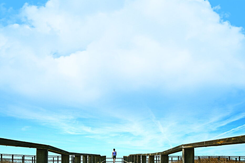 Passadiços do Alvor (Portimão)