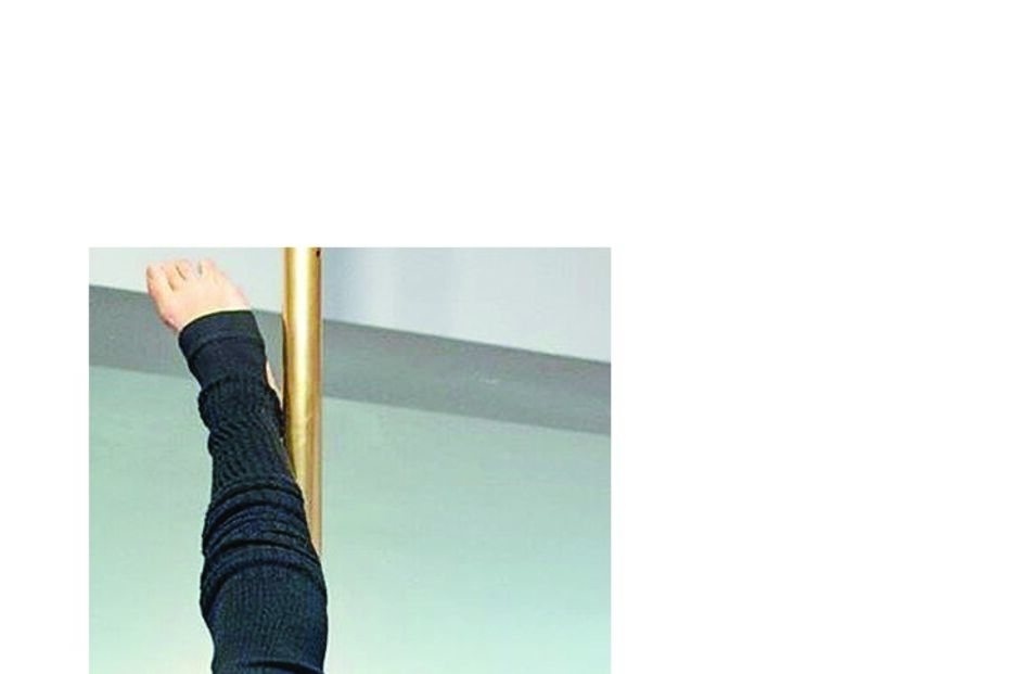 Luciana Abreu dança no varão