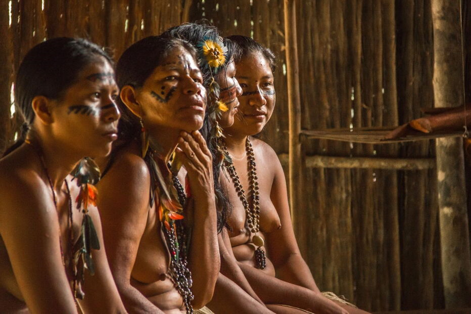 Indígenas do Brasil