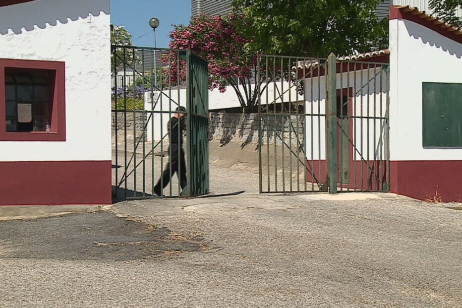 Numero de mortos com coronavírus em Lar de Reguengos de Monsaraz sobe para nove