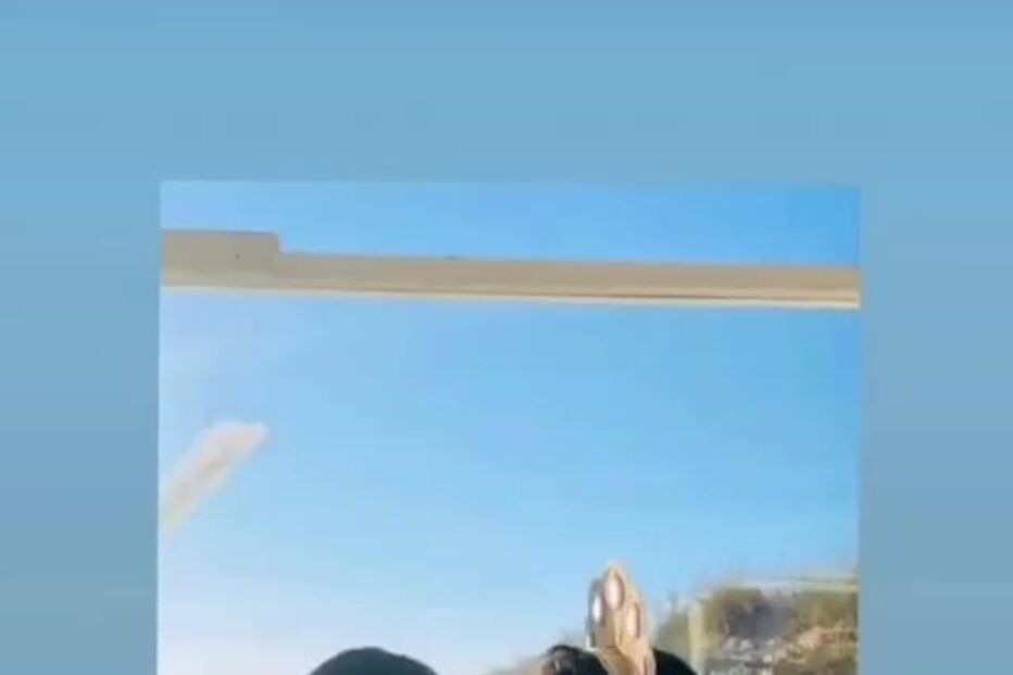 2020-07-06_12_17_23 35337165.JPG