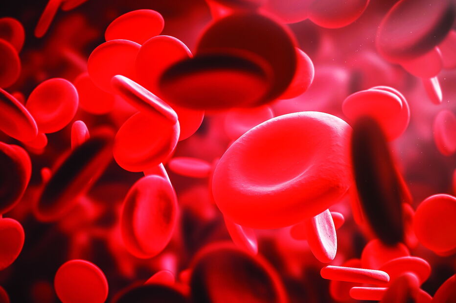 2020-07-06_15_27_14 Trofa-Saude-7-de-julho.jpg