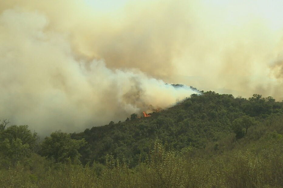 Doze meios aéreos e mais de 200 bombeiros combatem incêndio em Silves