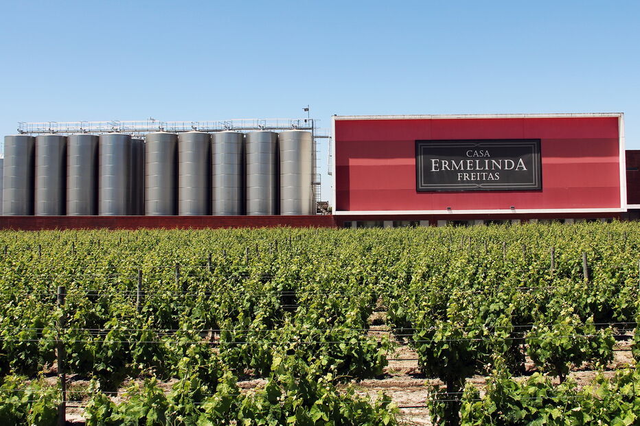 2020-07-07_09_29_25 Foto 3.jpg