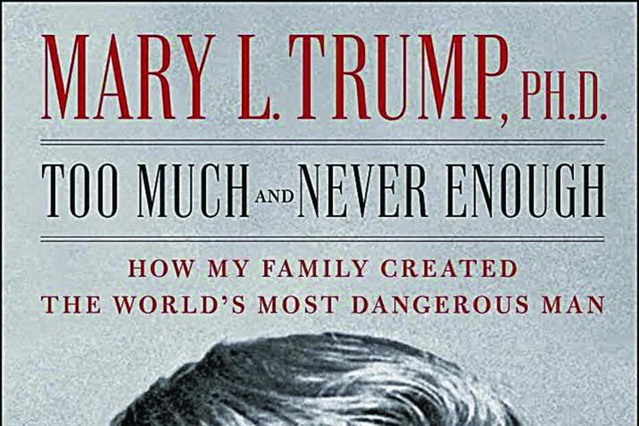 Imagem Livro Too Much and Never Enough.jpg (5977305) (Milenium)