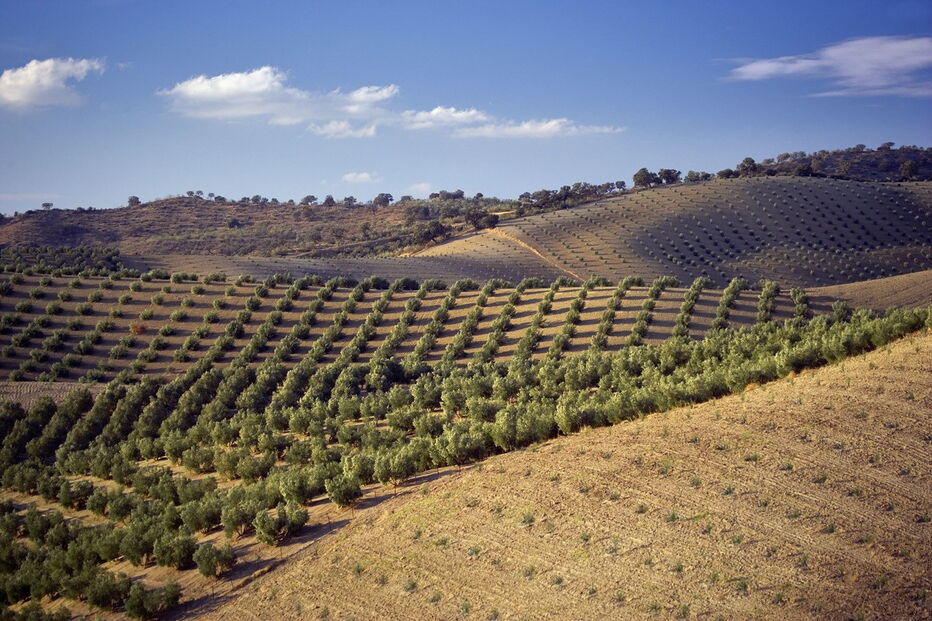 Imagem A2-35424902 (6053254).jpg (Milenium)