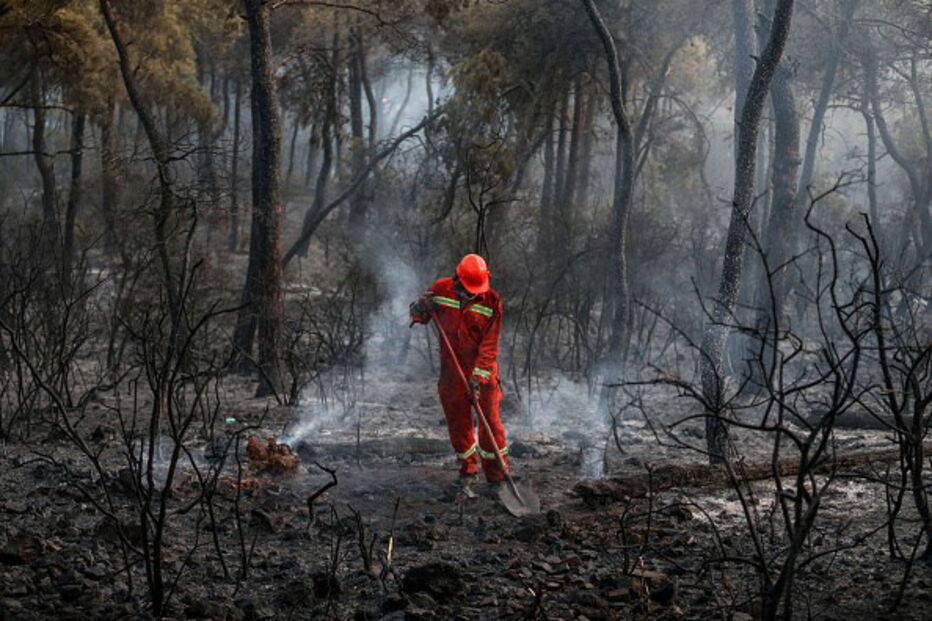 Combate aos incêndios.jpg