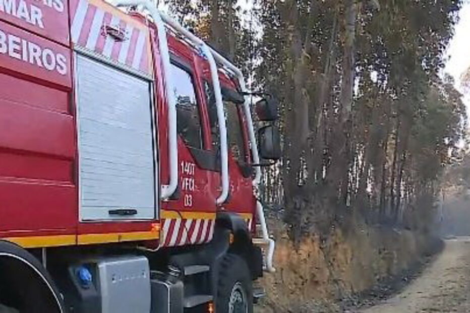 Mais de 100 bombeiros combatem incêndio que se aproximou de casas em Abrantes