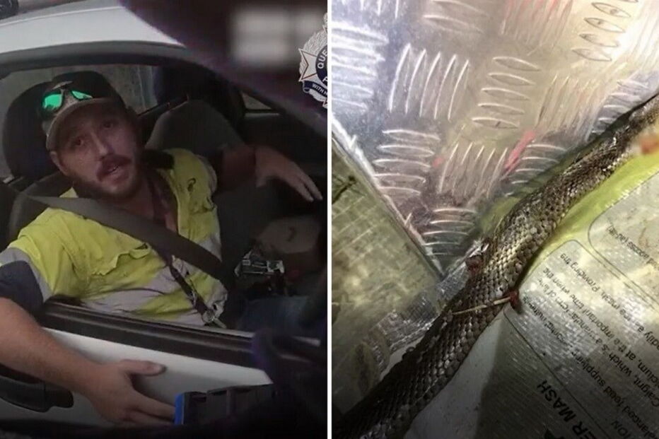 2020-07-14_12_26_39 01-australia.jpg