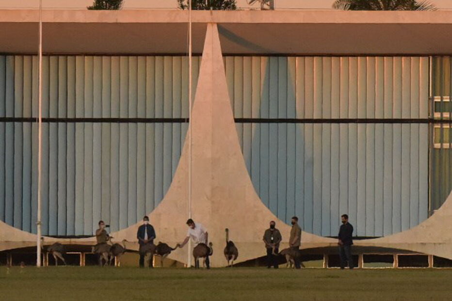 Jair Bolsonaro 'atacado' por ema no Palácio da Alvorada