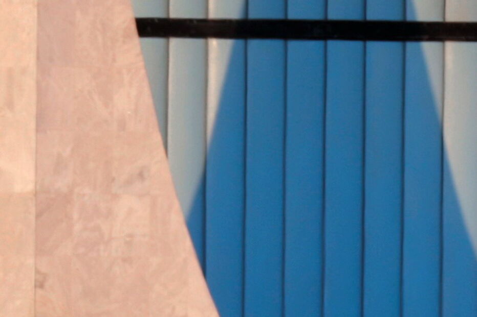 Jair Bolsonaro 'atacado' por ema no Palácio da Alvorada