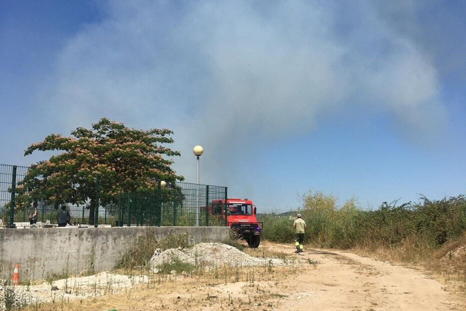 Incêndio consome zona de mato junto ao bairro da Triana em Rio Tinto 