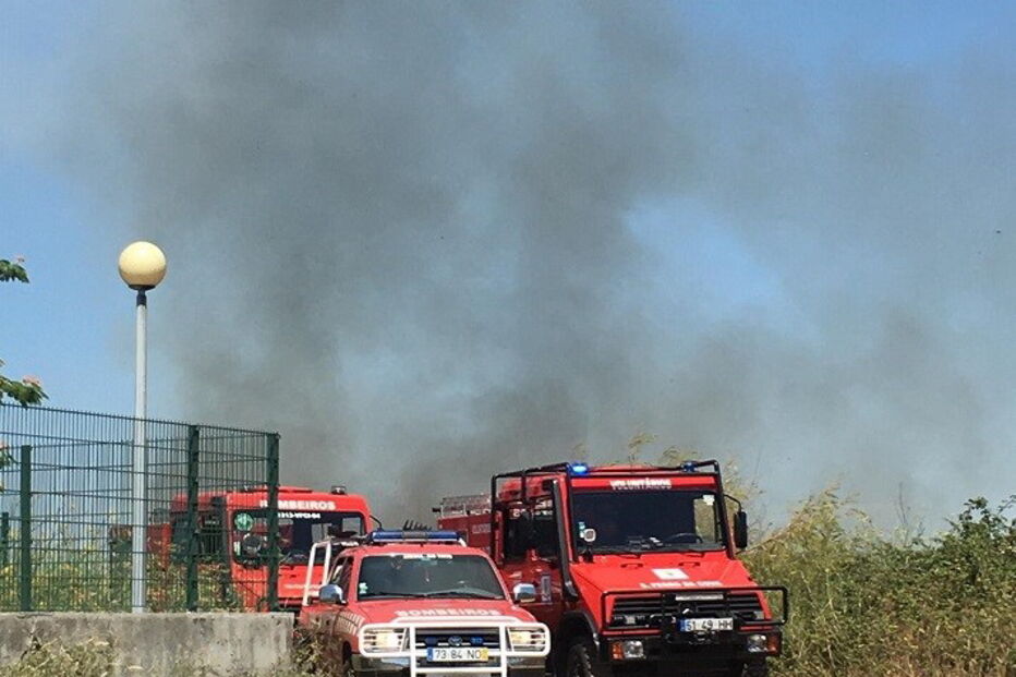 Incêndio consome zona de mato junto ao bairro da Triana em Rio Tinto 