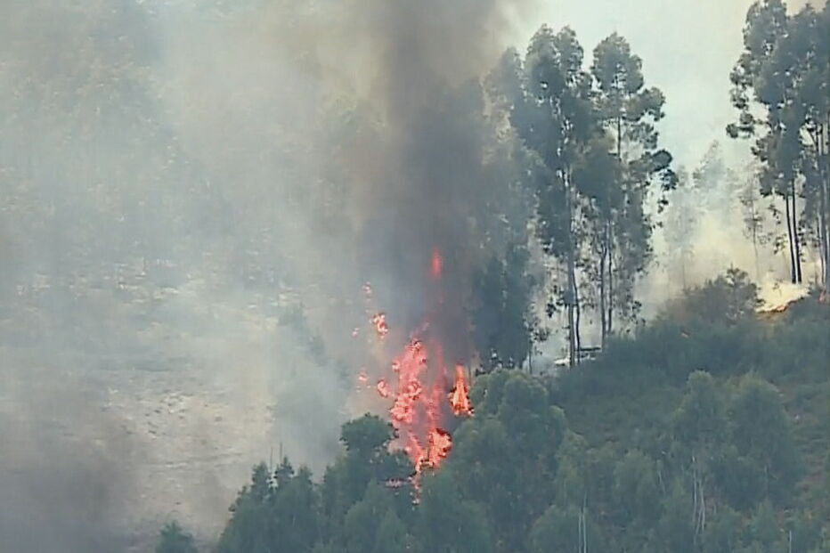 Incêndio em Ponte de Lima combatido por oito meios aéreos. Fogo aproxima-se de casas