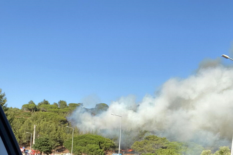 Terceira circular cortada ao trânsito devido a incêndio junto a casas em Alvide, Cascais