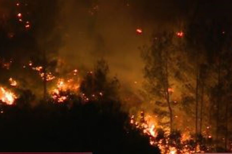 Reacendimento no fogo de Cascais volta a ameaçar casas