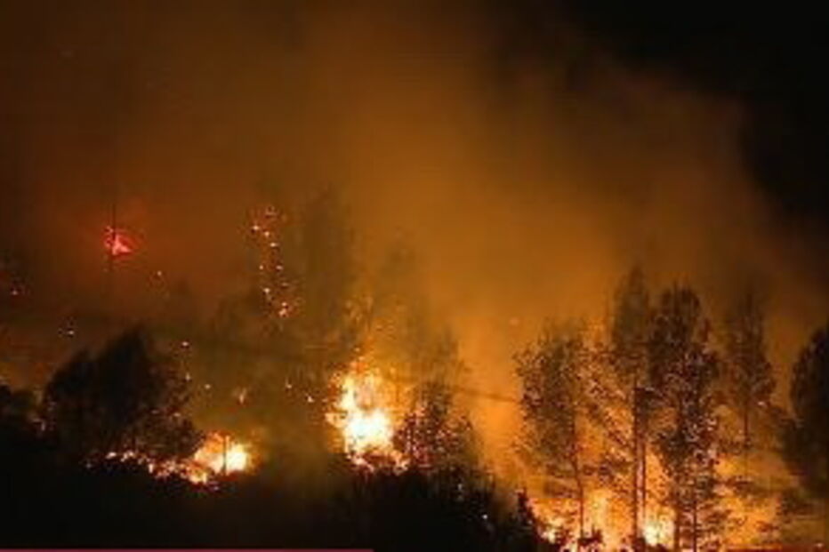 Reacendimento no fogo de Cascais volta a ameaçar casas