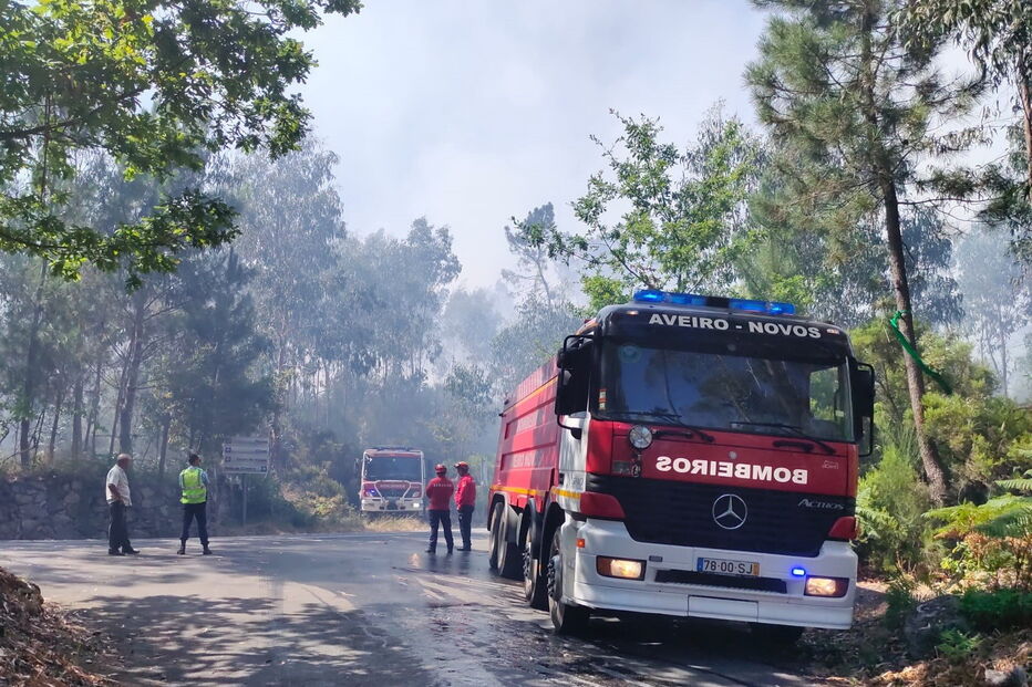 Fogo em Vale de Cambra mobiliza mais de 200 bombeiros e oito meios aéreos