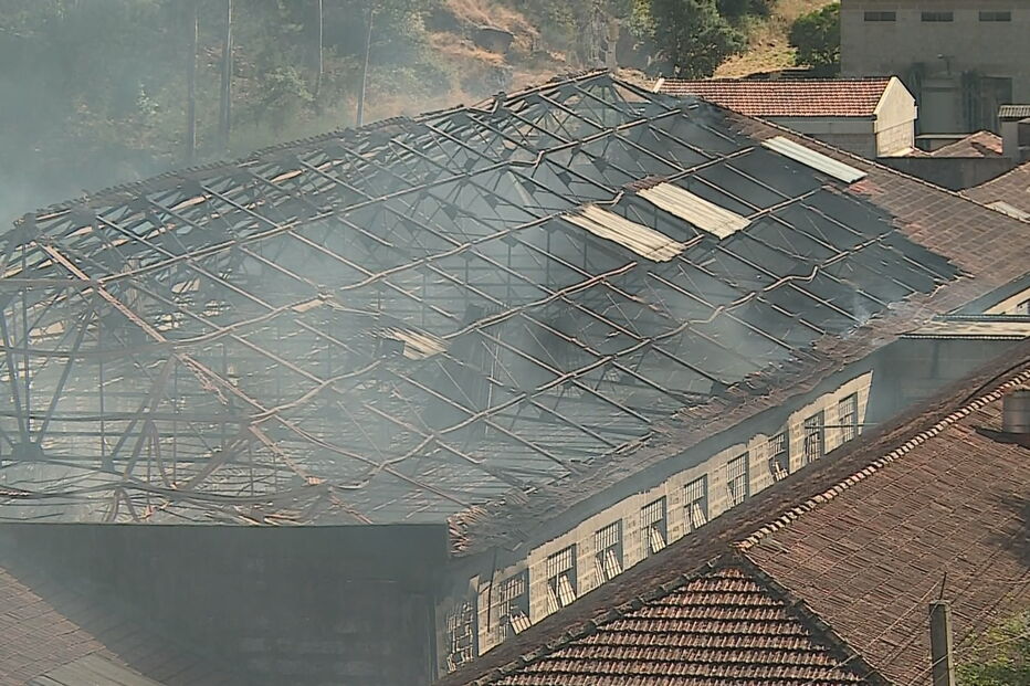 'O pássaro está livre': Elon Musk toma controlo do Twitter e despede diretores