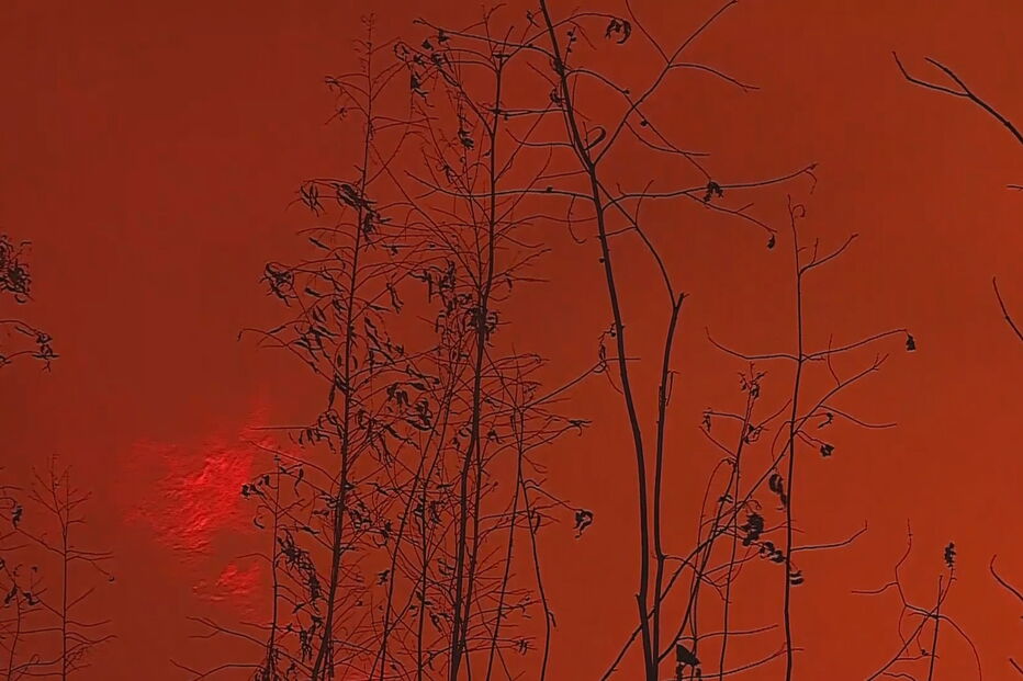 Incêndio que começou em Valongo já alastrou a Paços de Ferreira