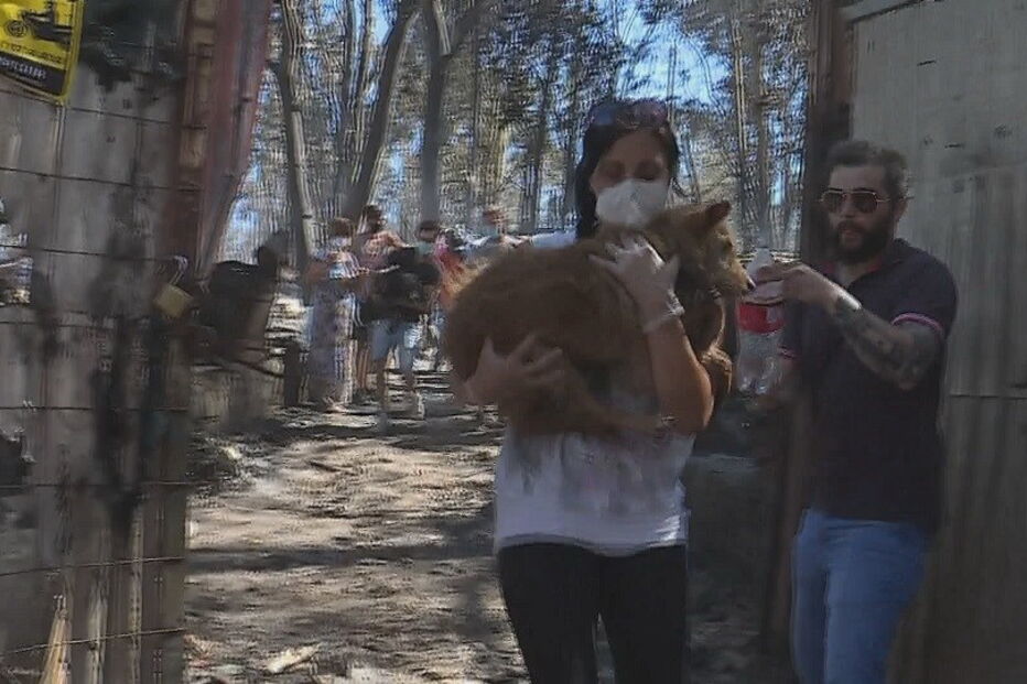 2020-07-19_16_35_24 Abeertura das portas do canil aos voluntarios.jpg