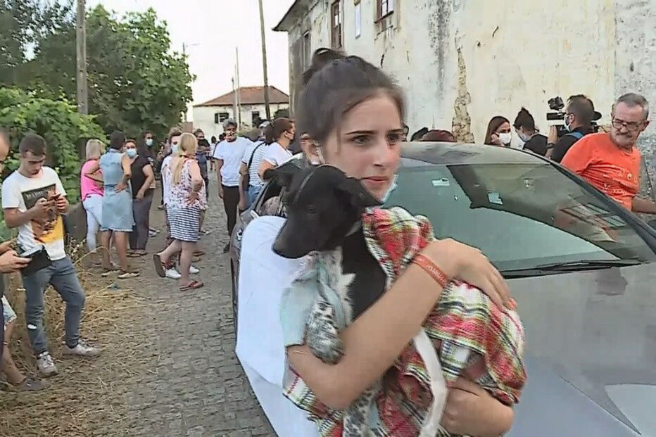 Populares resgatam 15 cães 