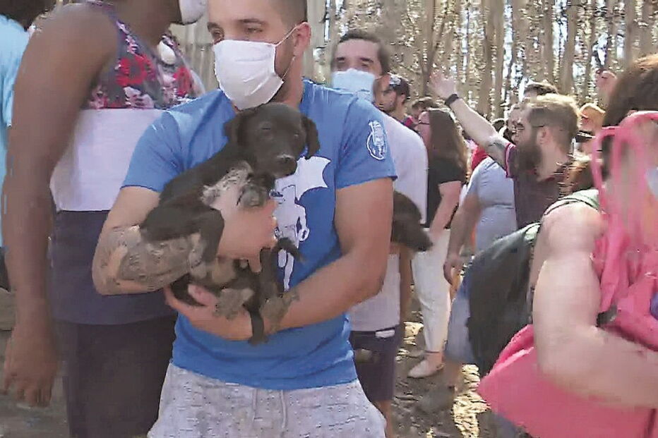 Imagem 35506614.jpg (6159860) (Milenium)