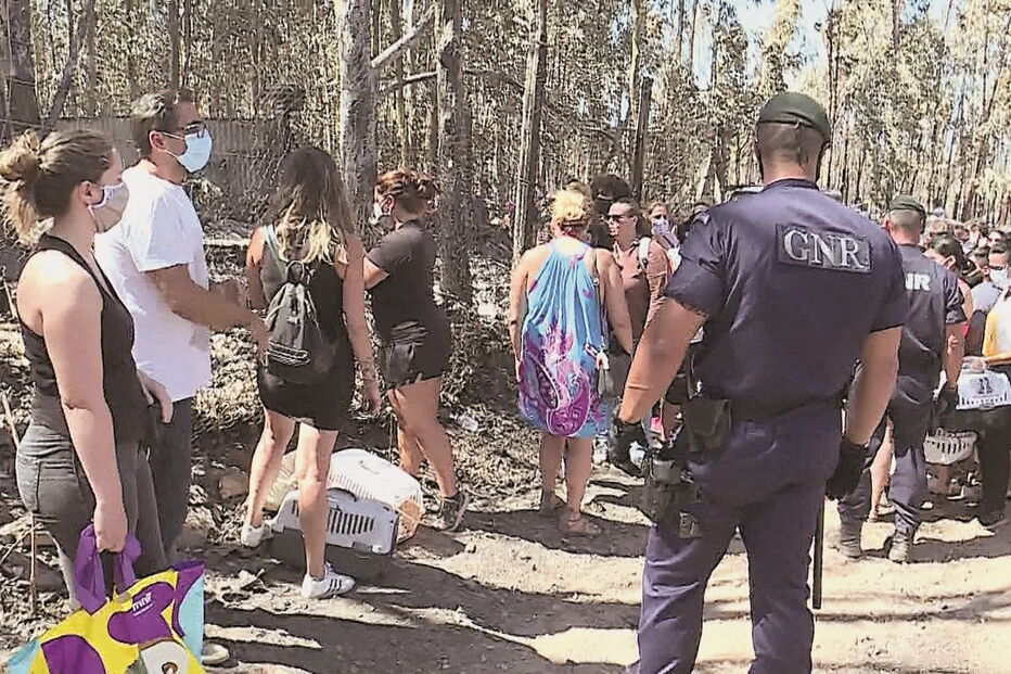 Abrigo ilegal de animais em Santo Tirso desde 2002 alvo de várias queixas