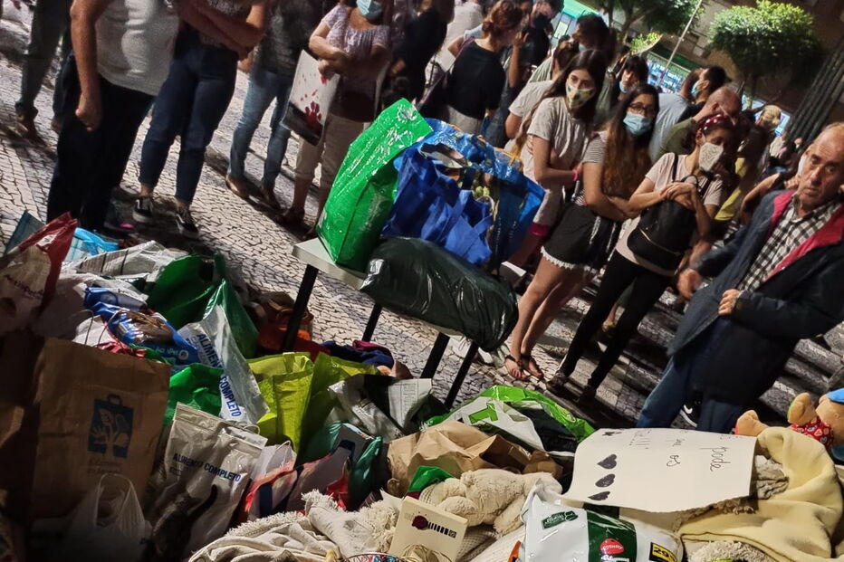Centenas de pessoas juntam-se em vigília de homenagem a animais mortos em incêndio de Santo Tirso