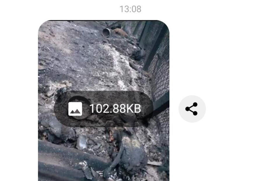 Alexandra foi vítima de ameaças por ser confundida com dona de abrigo em Santo Tirso