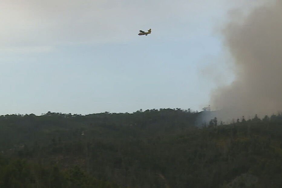 Mais de 250 operacionais combatem incêndio em Abrantes