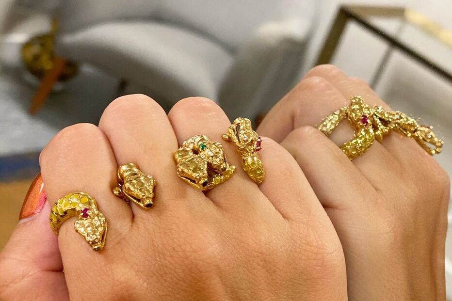 Ana Garcia Martins exibe anéis de cobras