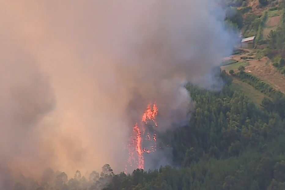 Incêndio em Oleiros aproxima-se de habitações. Veja as imagens das chamas