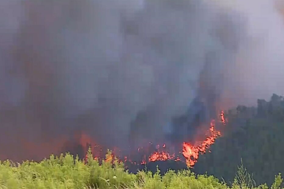 Incêndio em Oleiros aproxima-se de habitações. Veja as imagens das chamas	