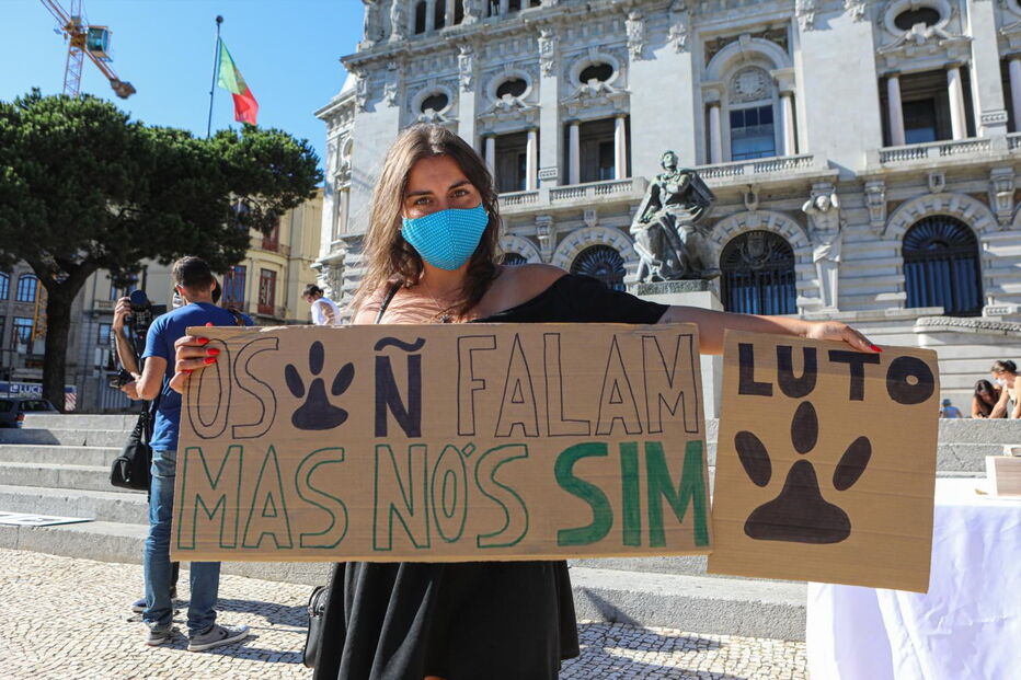 Ação pelos animais mortos no incêndio de Santo Tirso, na Av. dos Aliados, Porto