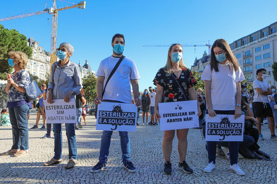 Ação pelos animais mortos no incêndio de Santo Tirso, na Av. dos Aliados, Porto